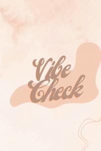 Vibe Check (Independently published)