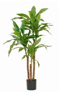 Декоративное растение Mica Decorations Dracaena, 70x70x70 см, зеленый
