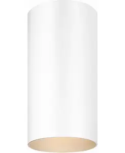1-Ламповый потолочный светильник с цилиндрическим креплением Volume Lighting, white