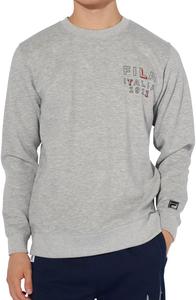 Мужская толстовка FILA с логотипом спереди и флисовой подкладкой, серый