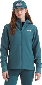 Женская куртка-толстовка The North Face Shelbe из флиса ветро- и влагозащитная, зелено-голубой