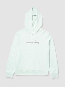 Толстовка Volcom Flowish Hoodie, cloud blue