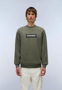 Толстовка Napapijri BOX LOGO, Tea Leaf Ga/Light Green