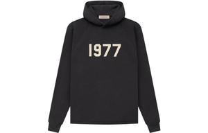 SS22 Толстовка мужская Iron Fear Of God Essentials, черный