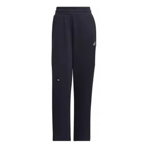 Спортивные брюки (WMNS) adidas FW24 Small Logo Fleece Joggers 'Navy Silver', темно-синий