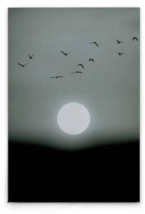 Картина на холсте A.S. Création Winter Lights цвет schwarzgrauweiss