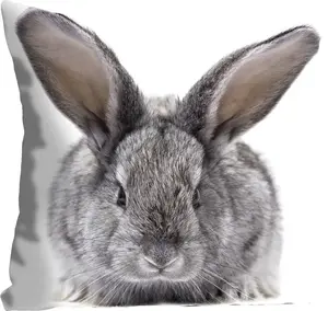 Декоративная подушка Queence "Шестёрка", с пушистым зайчиком, чехол без наполнения, 1 шт 40х40 см, серый