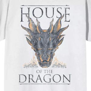 Мужская футболка House Of The Dragon с драконом Licensed Character