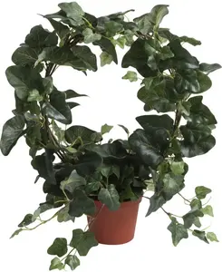 Botanic-Haus Искусственное комнатное растение "Арка плюща в горшке" Ø/10х38 см, зеленый