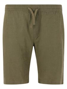 Cruz Шорты Mickey 3232 Loden Green