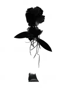 Брошь с бахромой и деталями в виде розы Alberta Ferretti, черный