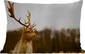 Подушка для улицы - Лань - Лес - Стадо - Животные - Природа - 60 x 40 см - Устойчива к погодным условиям - Подушка для отдыха - Декоративная подушка - Подушка для дома MuchoWow