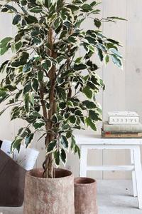 Фикус искусственное растение Mica Decorations, зеленый