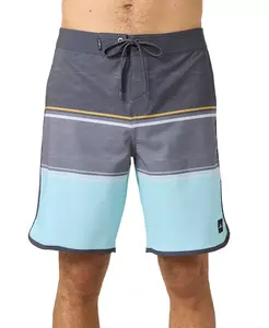 Мужские шорты для плавания Lennox Scallop 19 O'Neill, мультиколор
