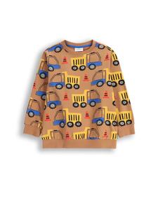 Толстовка Coccodrillo, коричневый