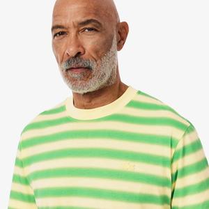 Мужская футболка LACOSTE в градиентную полоску, зеленый