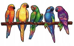 Деревянный пазл для взрослых Цвета игривые попугаи Pan i Pani Gadżet