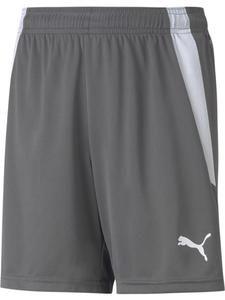 Puma Спортивные штаны “TeamLIGA Shorts Jr” серого цвета