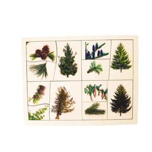 Виды хвойных пород, деревянный пазл, лесные деревья. Inna marka