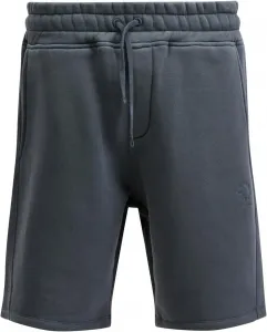 Allsaints мужские шорты Haven