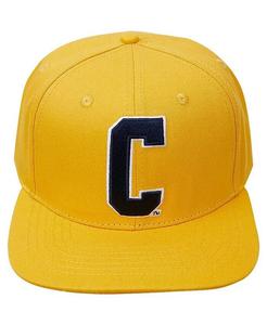 Мужская золотистая кепка Coppin State Eagles Evergreen C Snapback Pro Standard, золотой