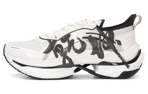 Мужская обувь Lifestyle с низким верхом, черного/белого цвета Xtep