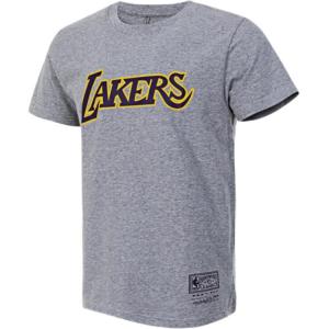 Футболка Mitchell & Ness x NBA Los Angeles Lakers унисекс gray Mitchell Ness, серый