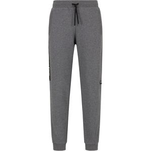 Брюки спортивные с логотипом EMPORIO ARMANI, темно-серые
