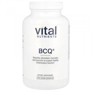 Vital Nutrients, BCQ, 240 веганских капсул