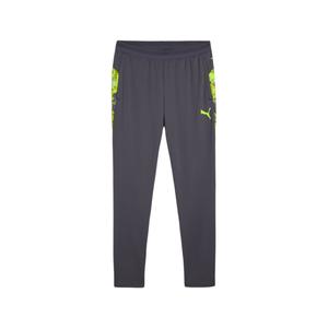 Футболка IndividualCUPFootball Pants Soccer Bottom Men's Galaxy Gray PUMA, серый