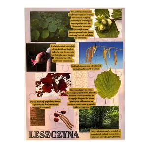 Хейзел, деревянная головоломка, лесное образование Inna marka