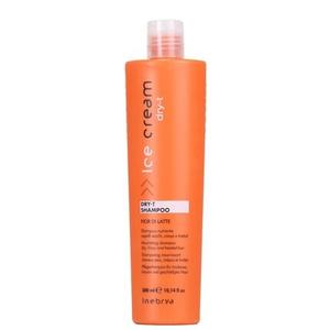 Сухой-Т Шампунь 300мл, Inebrya