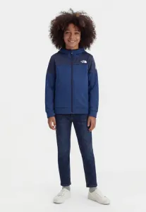 Подростковая спортивная толстовка в горном стиле унисекс на молнии The North Face, Summit Navy/Estate Blue