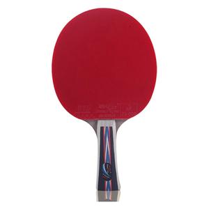 Ракетка для пинг-понга DOUBLE FISH, 6 stars horizontal shot [long handle]