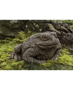 Садовая статуя лесной жабы Campania International, sage