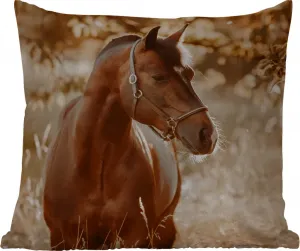 Подушка для улицы Лошадь, Солнце, Портрет, Природа, коричневая, 40 x 40 см, водонепроницаемая, подушка для отдыха, подушка для интерьера, обивка с изображением MuchoWow