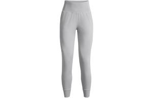 Спортивные брюки женские современные серые Under Armour