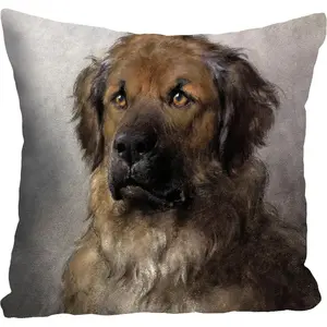 Декоративная подушка queence Hovawart, наволочка без наполнителя, 1 штука Queence, Bunt + bedruckt