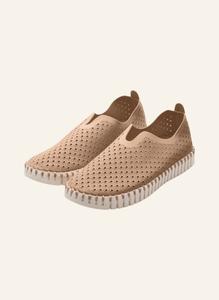 Низкие кеды тюльпан3275 Ilse Jacobsen, мультиколор