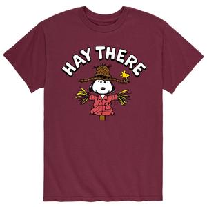 Мужская футболка Peanuts Snoopy Scarecrow Tee Licensed Character
