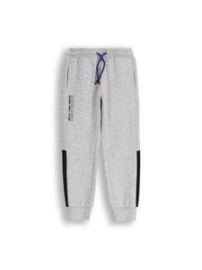 Coccodrillo Узкие спортивные штаны серого цвета