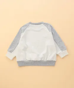 Толстовка с бархатным принтом, подобранная по цвету (детский размер) Comme Ca Ism, цвет Heather Gray