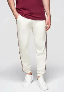 Спортивные штаны-джоггеры в полоску Ombre, Cream