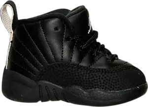 Кроссовки Jordan 12 Retro BT The Master, черный