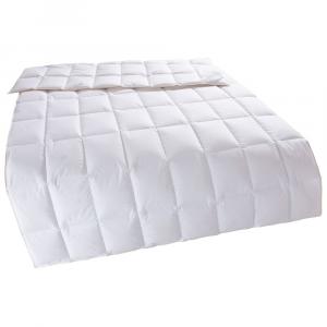 Пуховое одеяло Home affaire Litrone, легкое, белый