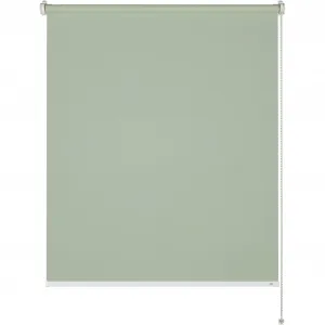 Коллекция SCHÖNER WOHNEN рулонная штора с боковым подъемом «Daylightrolltisty Tizia», непрозрачная, защитная сетка, с отверстием/без сверления, свободно висит Schöner Wohnen-Kollektion, зеленый