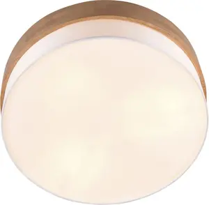 Потолочный светильник TRIO Leuchten "Времена года" на 3 лампочки Ø 50,0 см, Высота: 22,0 см, цвет nickel