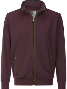 Толстовка с капюшоном на молнии BABISTA Deolezzi, темно-красный