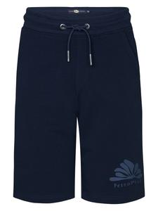 Обычные брюки Petrol Industries, синий