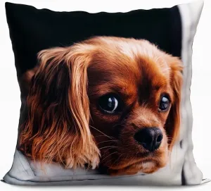 Декоративная подушка 40х40 см собака MARKIZETA HOME